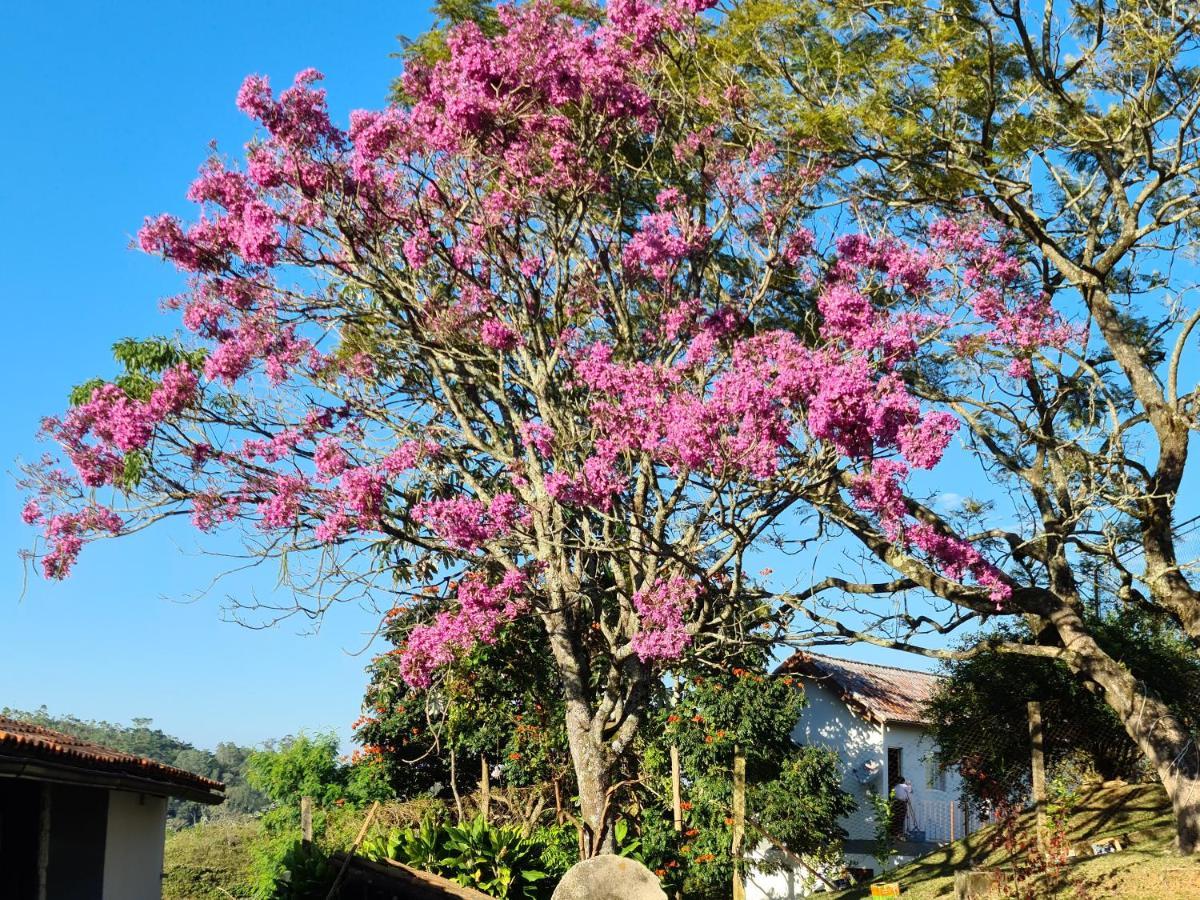 Pousada Nossa Senhora Penedo  Zewnętrze zdjęcie Flowering tree